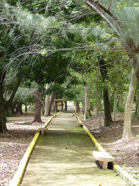 Parque Junghans ZeePuertoRico